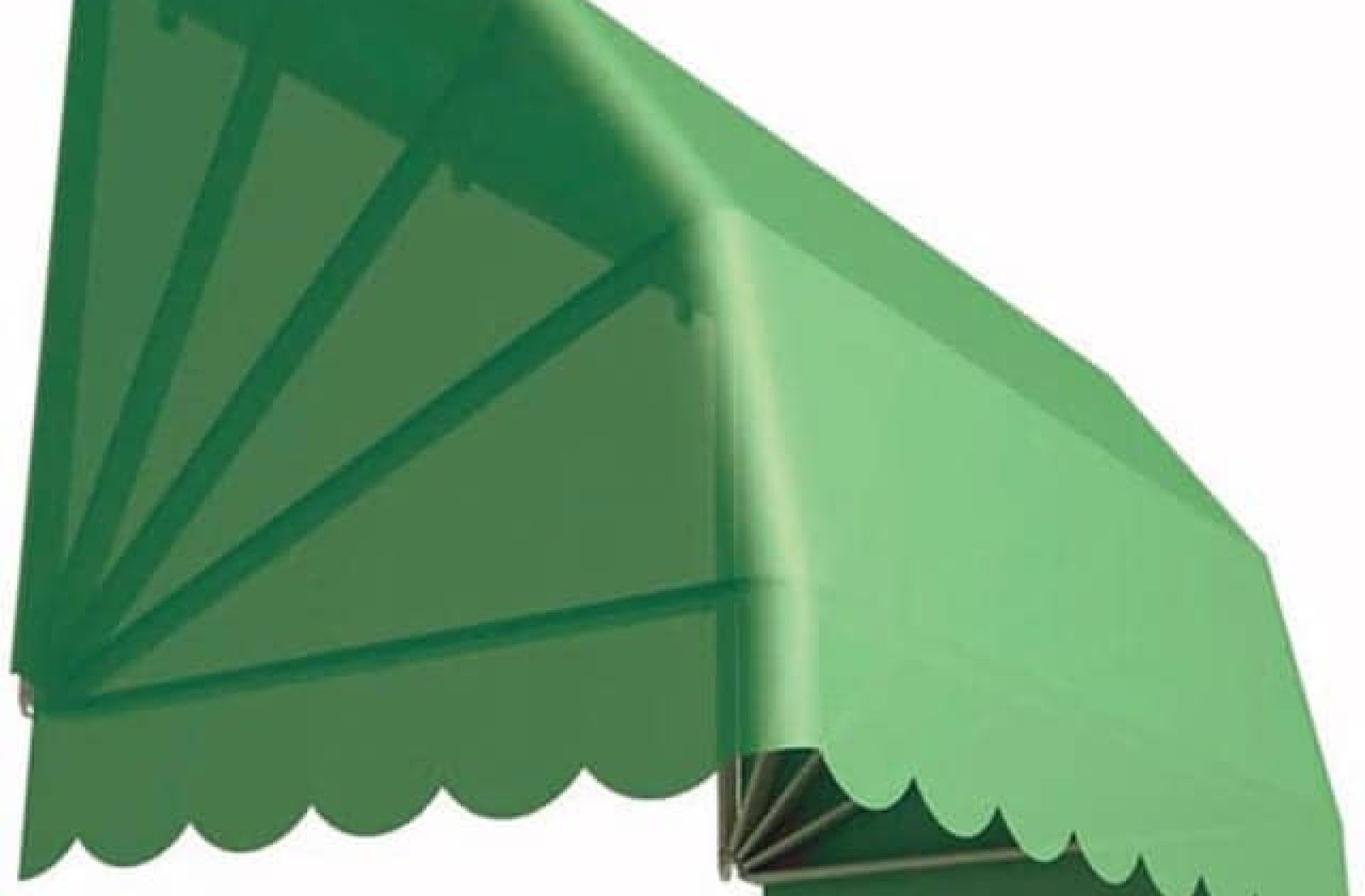 316-catty-2_1 316-catty-2_1